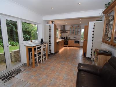 Open Kitchen/Dining Room
